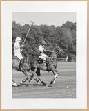 Polo in the Park - exhibition poster - horses - game - sports - match - black white photography - art print