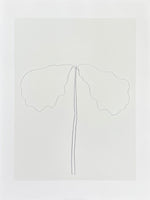 Ellsworth Kelly exhibition poster - Chêne - museum artist - art print on silkscreen paper - 2004