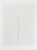Ellsworth Kelly exhibition poster - Chêne - museum artist - art print on silkscreen paper - 2004