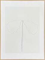 Ellsworth Kelly exhibition poster - Chêne - museum artist - art print on silkscreen paper - 2004