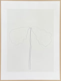 Ellsworth Kelly exhibition poster - Chêne - museum artist - art print on silkscreen paper - 2004