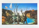 Salvador Dali exhibition poster - Swans, Reflecting Elephants - museum artist - art print - surrealism