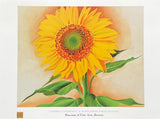 Georgia O'Keeffe exhibition poster - A Sunflower from Maggie - museum artist - art print - 1998