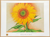 Georgia O'Keeffe exhibition poster - A Sunflower from Maggie - museum artist - art print - 1998