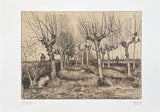 Vincent van Gogh exhibition poster - Pollard Birches - Shepherd - landscape - trees - museum artist - art print - offset lithograph - 1970s