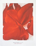 Georgia O'Keeffe exhibition poster - Red Cannas - Amon Carter Museum - museum artist - art print - 2015