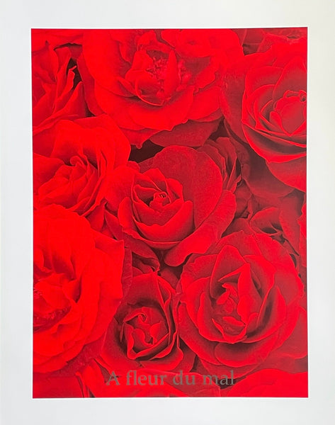 Marie Jo Lafontaine exhibition poster - A Fleur du Mal - Belgian artist - red roses - museum artist - art print - 1999