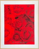 Marie Jo Lafontaine exhibition poster - A Fleur du Mal - Belgian artist - red roses - museum artist - art print - 1999