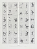 Philippe Geraud exhibition poster - En hommage a tous les cancres de la terre - french artist - donkey - art print