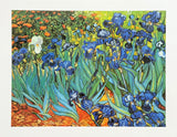 Vincent van Gogh exhibition poster - Garden of Irises - museum artist - art print - France - French landscape - field