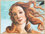 Sandro Botticelli exhibition poster - Birth of Venus - museum artist - art print - Florence