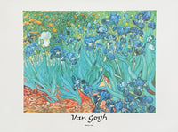 Vincent van Gogh exhibition poster - Irises, 1889 - France Provence - flowers - museum artist - art print