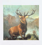 Sir Edwin Landseer exhibition poster - Monarch of the Glen - English painter - museum artist - art print - nature - wildlife
