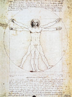 Leonardo da Vinci exhibition poster - The Vitruvian man - renaissance - Italy - museum artist - art print