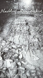 Anselm Kiefer exhibition poster - Nachtschattengewächse - museum artist - art print - 1991