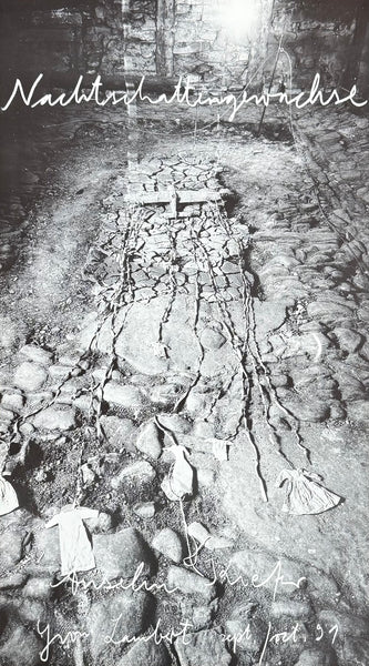 Anselm Kiefer exhibition poster - Nachtschattengewächse - museum artist - art print - 1991