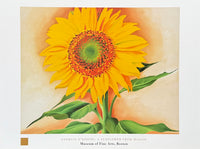 Georgia O'Keeffe exhibition poster - A Sunflower from Maggie - museum artist - art print - 1998