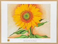 Georgia O'Keeffe exhibition poster - A Sunflower from Maggie - museum artist - art print - 1998