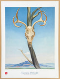 Georgia O'Keeffe exhibition poster - Deer's skull with pedernal - museum artist - art print - 2000