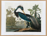 John James Audubon exhibition poster - Louisiana  Heron - Birds of America - wildlife - red bird - decorative - art print - 2018