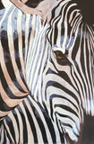 Zebra exhibition poster - head - portrait - black and white - decorative art print - 2012