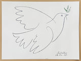 Pablo Picasso exhibition poster - Dove of Peace - museum artist - art print